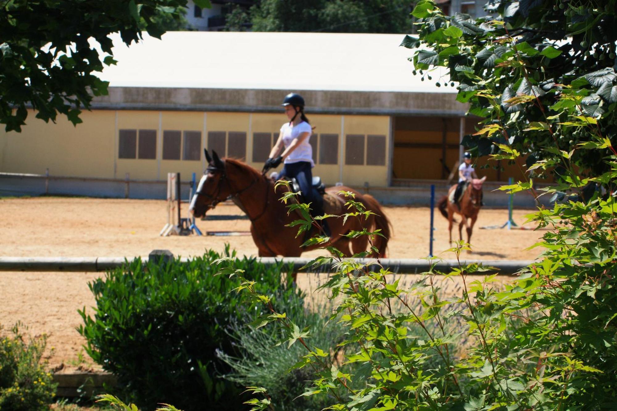 ברז'יס Farm Stay Zevnik מראה חיצוני תמונה
